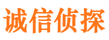 桃源侦探公司